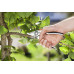 Секатор професійний Gardena Premium ВР 50